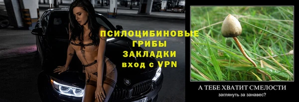 хмурый Нея