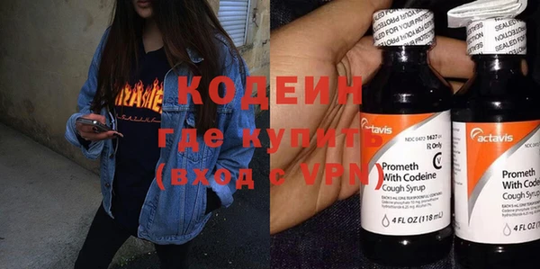 хмурый Нея