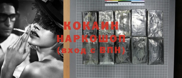 хмурый Нея