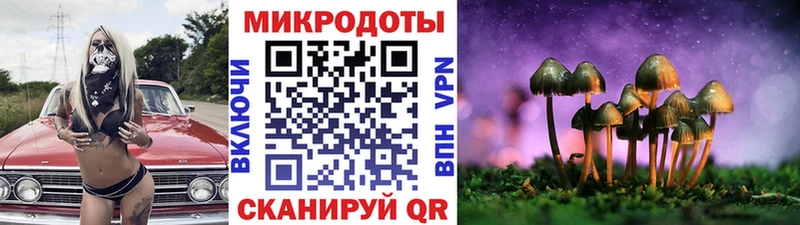 Купить  Мелеуз  Псилоцибиновые грибы мухоморы 